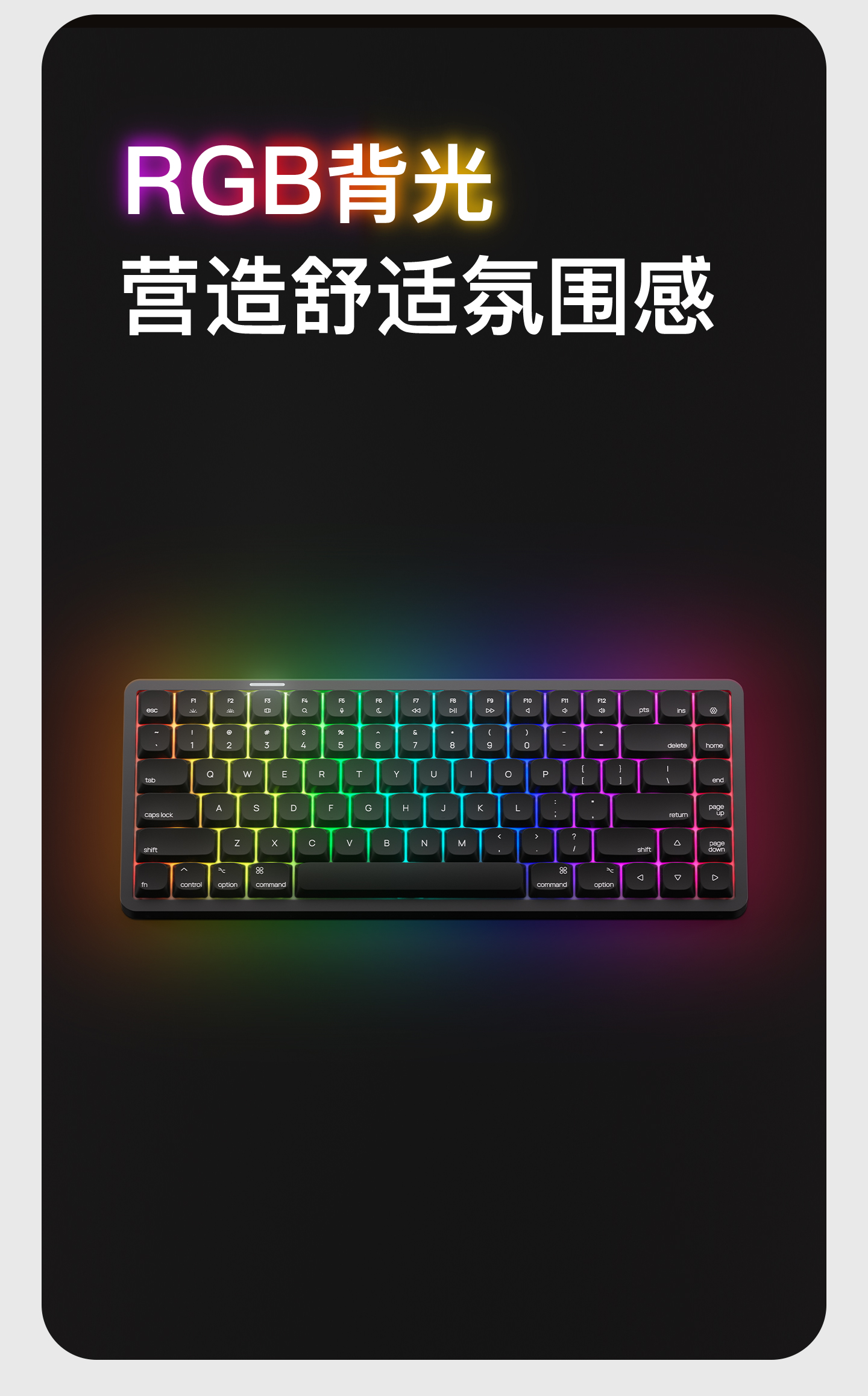 Air-01详情_1440_11.jpg