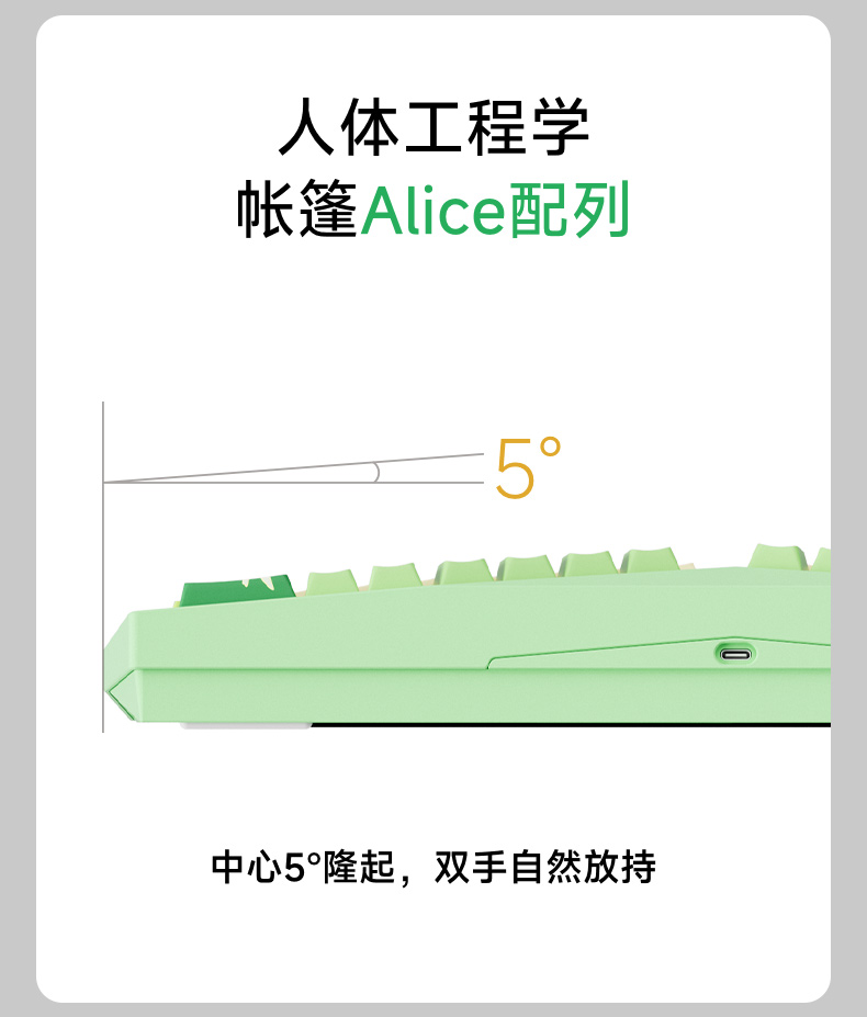 Armor-Alice璇︽儏鍒囧浘_02.jpg